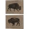 Buffalo Impression by Stellar Design Studio 15" x 12" Canvas Wall Art (Set of 2)